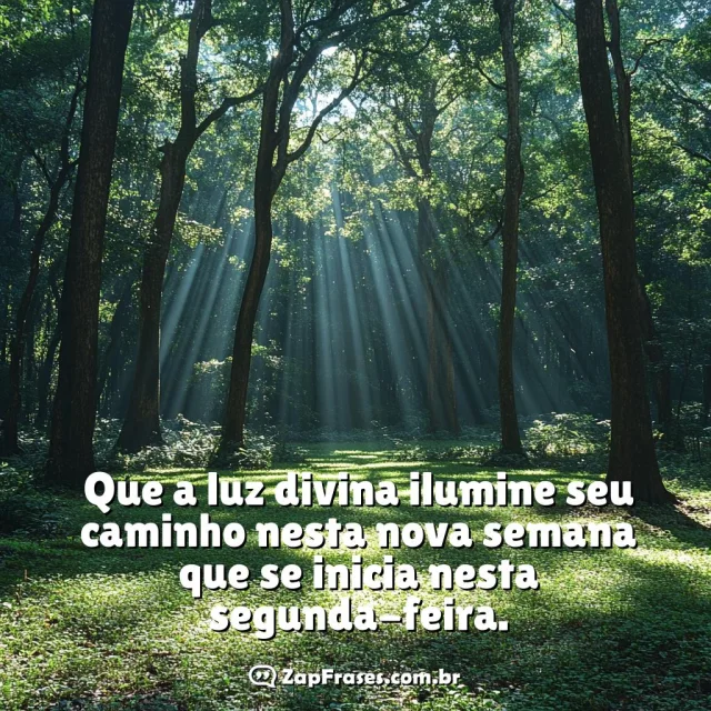 Floresta serena iluminada com mensagem de luz divina para nova semana