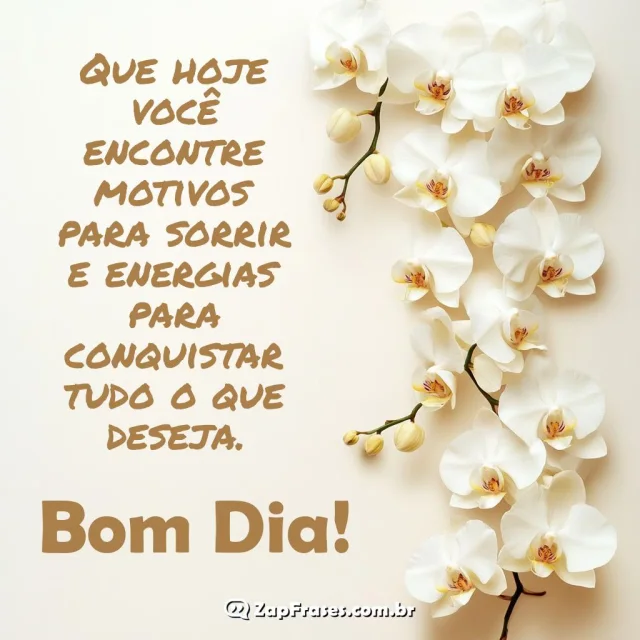 Orquídea branca ao lado de mensagem de bom dia motivacional