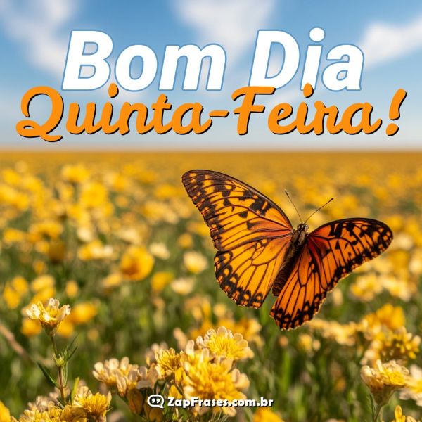 Frases de Bom Dia Quinta-feira