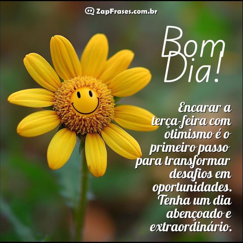 Imagem de uma flor amarela com um emoticon sorridente, mensagem de bom dia para terça-feira.