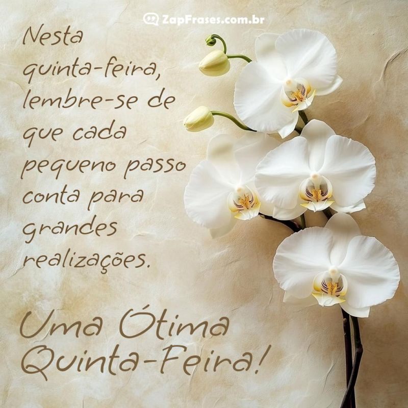 Uma Ótima Quinta-Feira: Inspire-se e Realize!