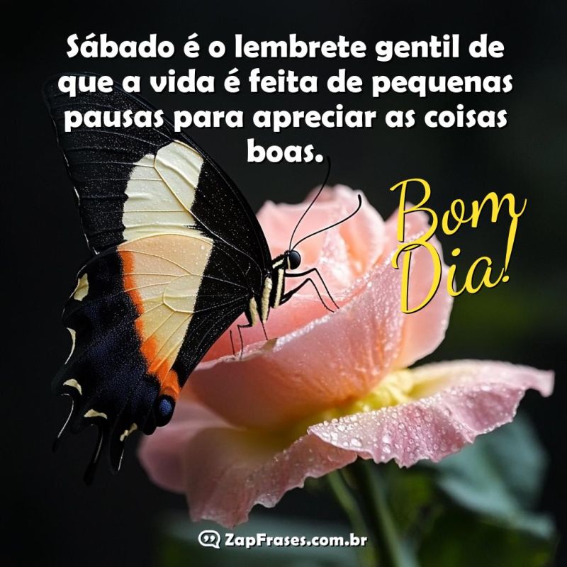 Bom Dia Sábado: Inspire-se e Aprecie as Pequenas Pausas